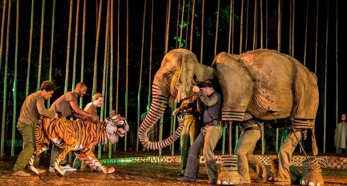 Full Cast Announced for Running Wild Tour