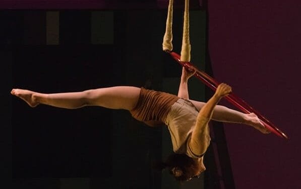 Flip FabriQue Catch Me