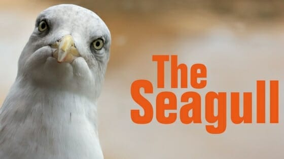 The Seagull at Lyric Hammersmith