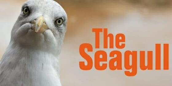 The Seagull at Lyric Hammersmith