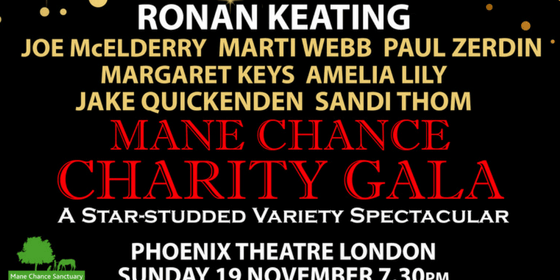 Ronan Keating and Stars Mane Chance Charity Gala
