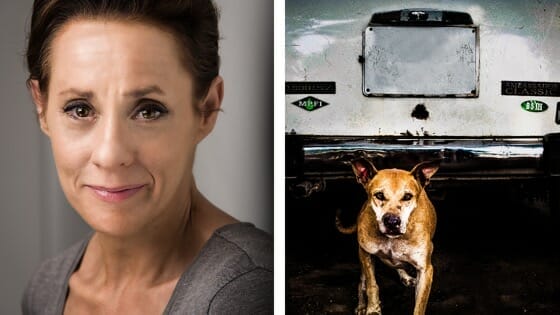 Interview: Katy Brittain on The Dark Room