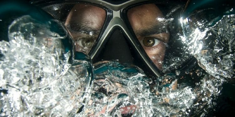 Curious Directive's Frogman Comes to London