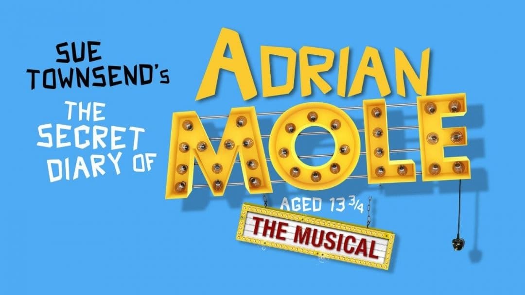 Adrian Mole Ambassadors Theatre