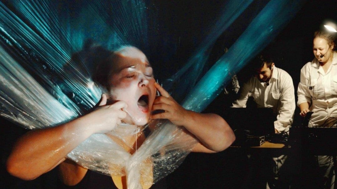 Me My Whale The Vaults