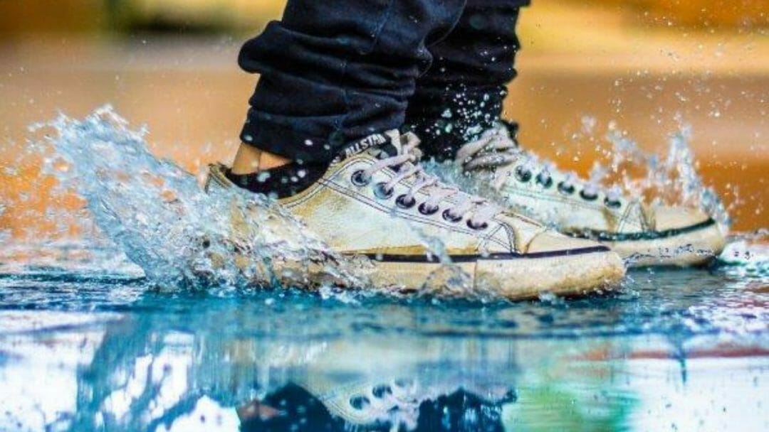 Thomas VAULT Festival