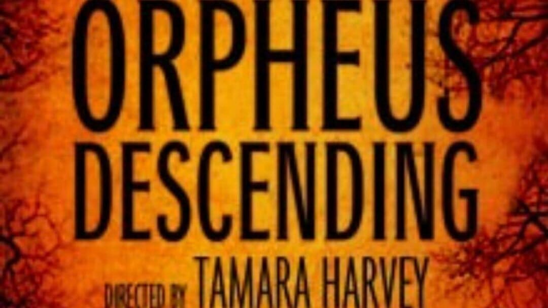 Orpheus Descending Menier Chocolate Factory