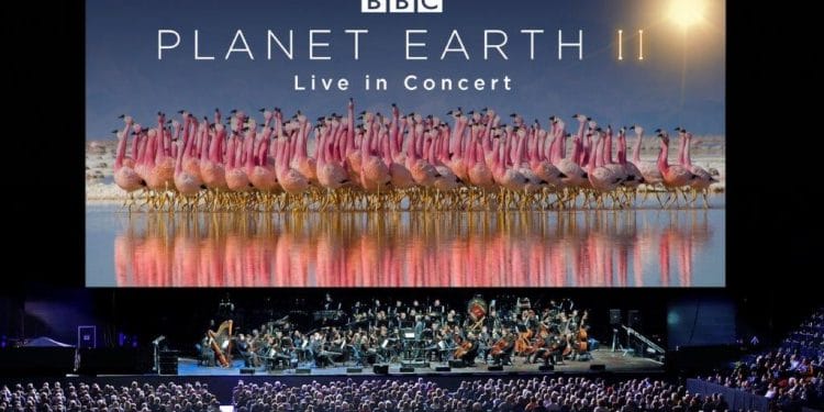 Planet Earth II Live in Concert Photograph by Justin Anderson Copyright BBC NHU