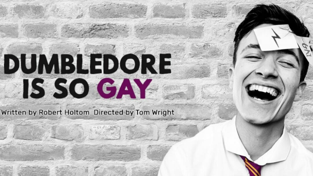 Dumbledore Is So Gay at VAULT Festival