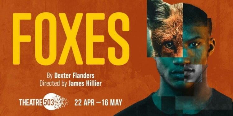 Foxes at Theatre