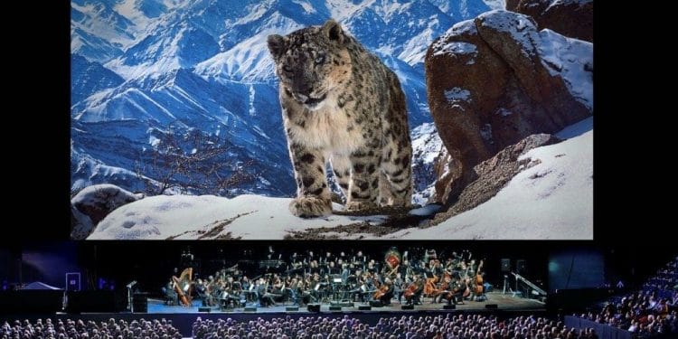 Planet Earth II Live in Concert SnowLeopard