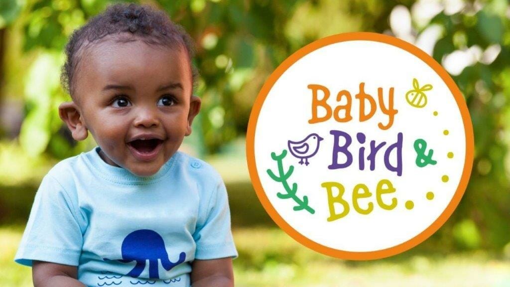 Baby Bird Bee
