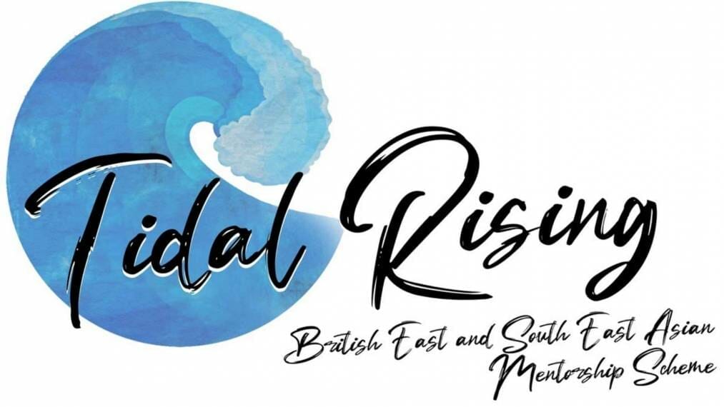 Tidal Rising Mentorship Scheme