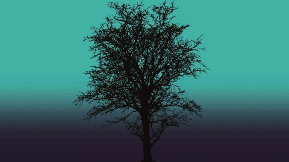 The Litten Tree