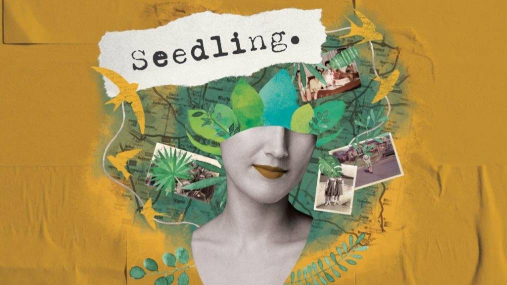 Seedling