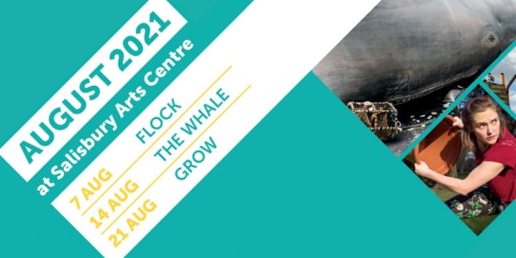 Wiltshire Creative Summer Events