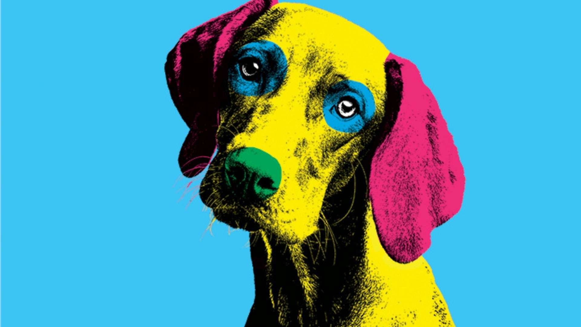 Dog Show Pleasance