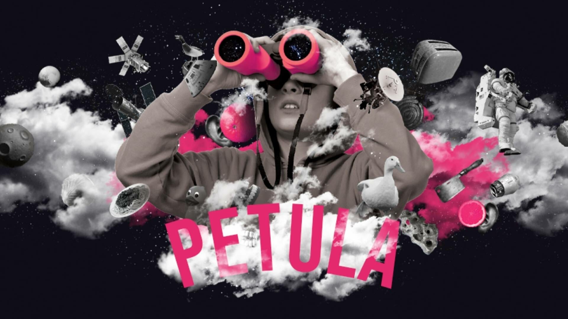 Petula Design by Matthew Wright