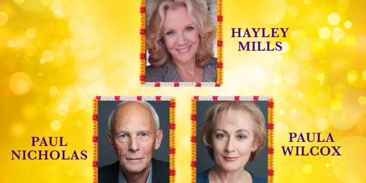 The Best Exotic Marigold Hotel Star Cast