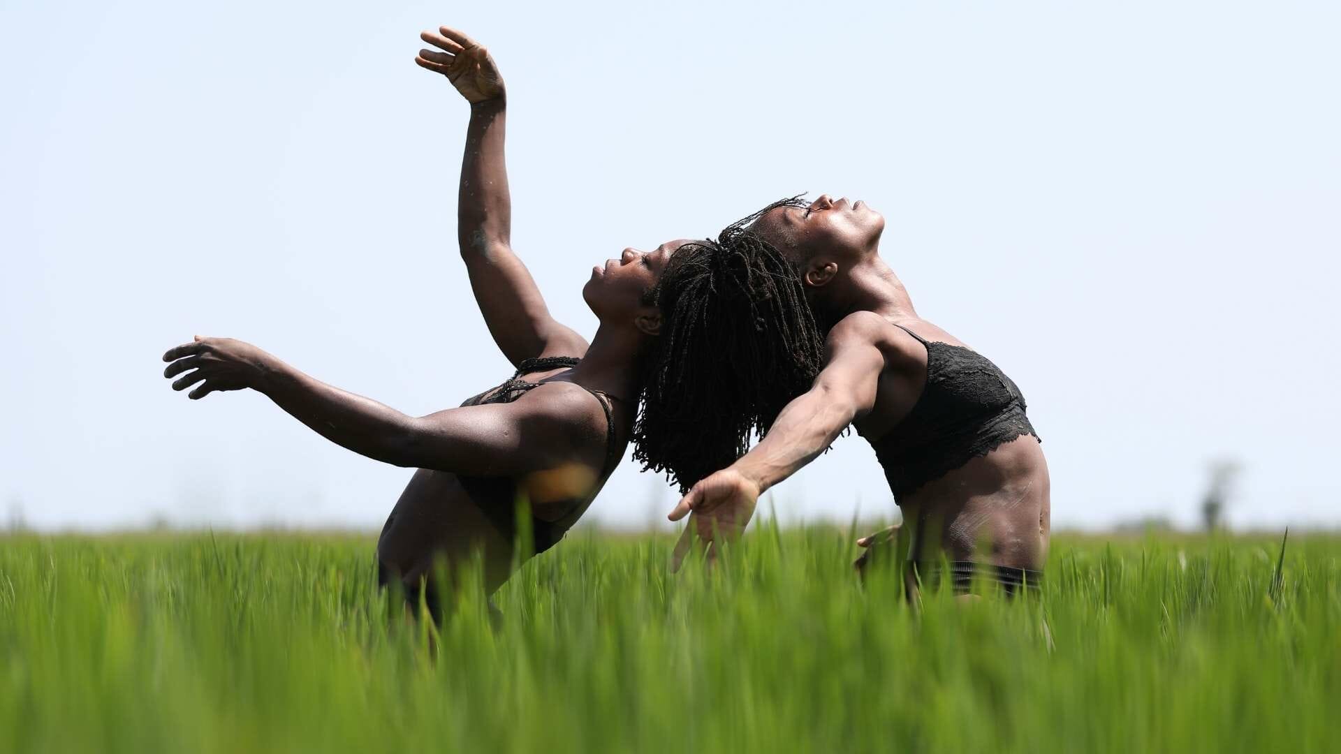 albert vidal vertex comunicacio