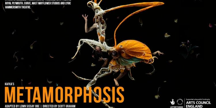 Metamorphosis. Image by @MrPerou and Paul Reardon at Peter and Paul