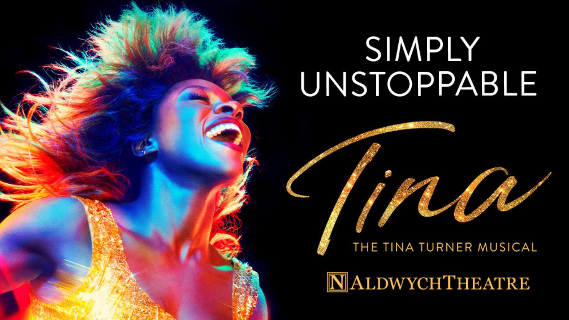 Tina The Tina Turner Musical