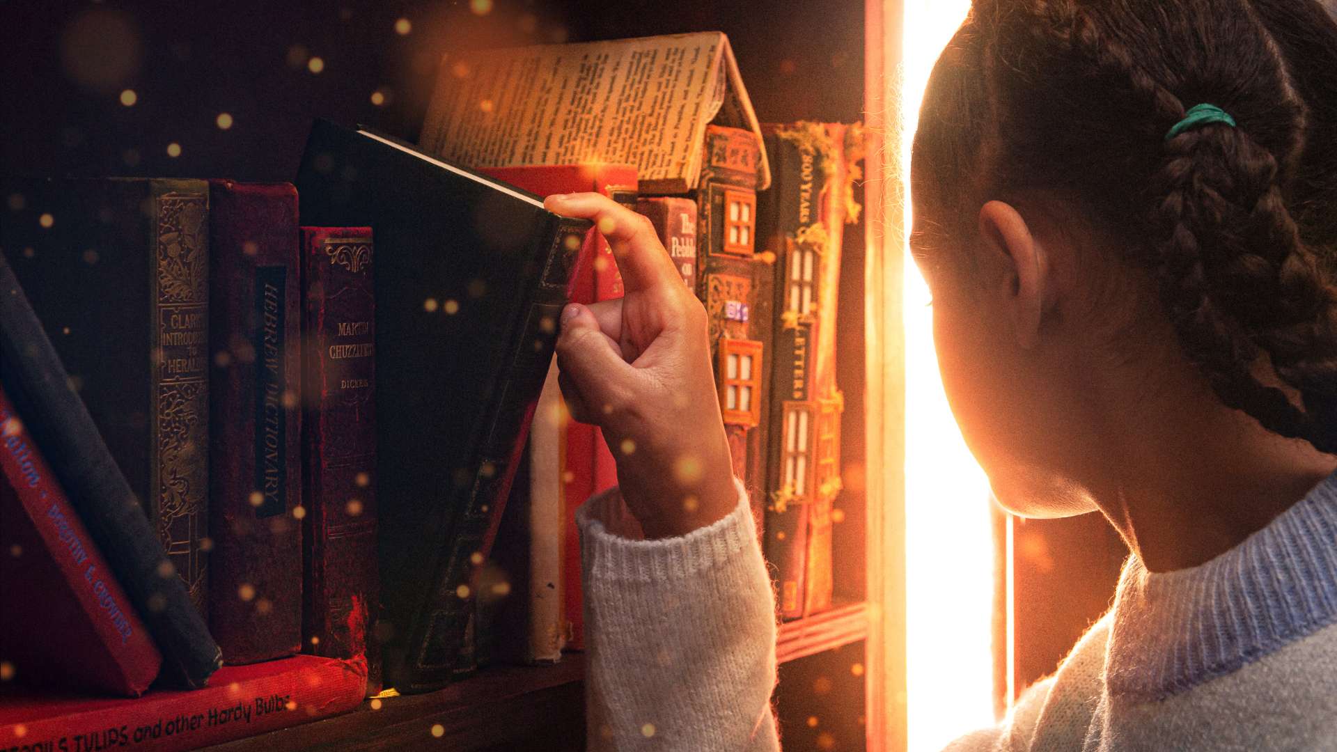 The Lost Lending Library