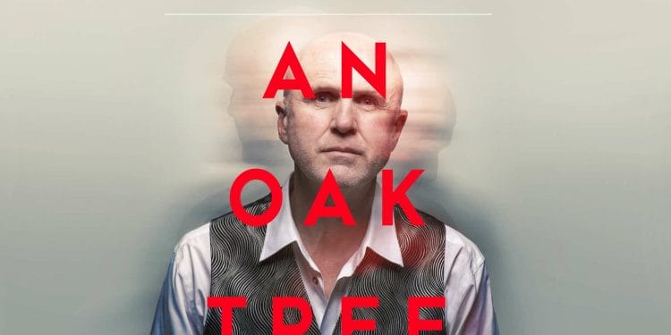 An Oak Tree