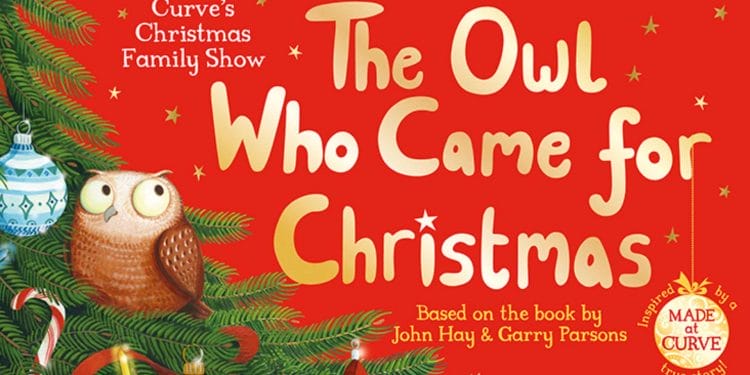 The Owl Who Came For Christmas Curve