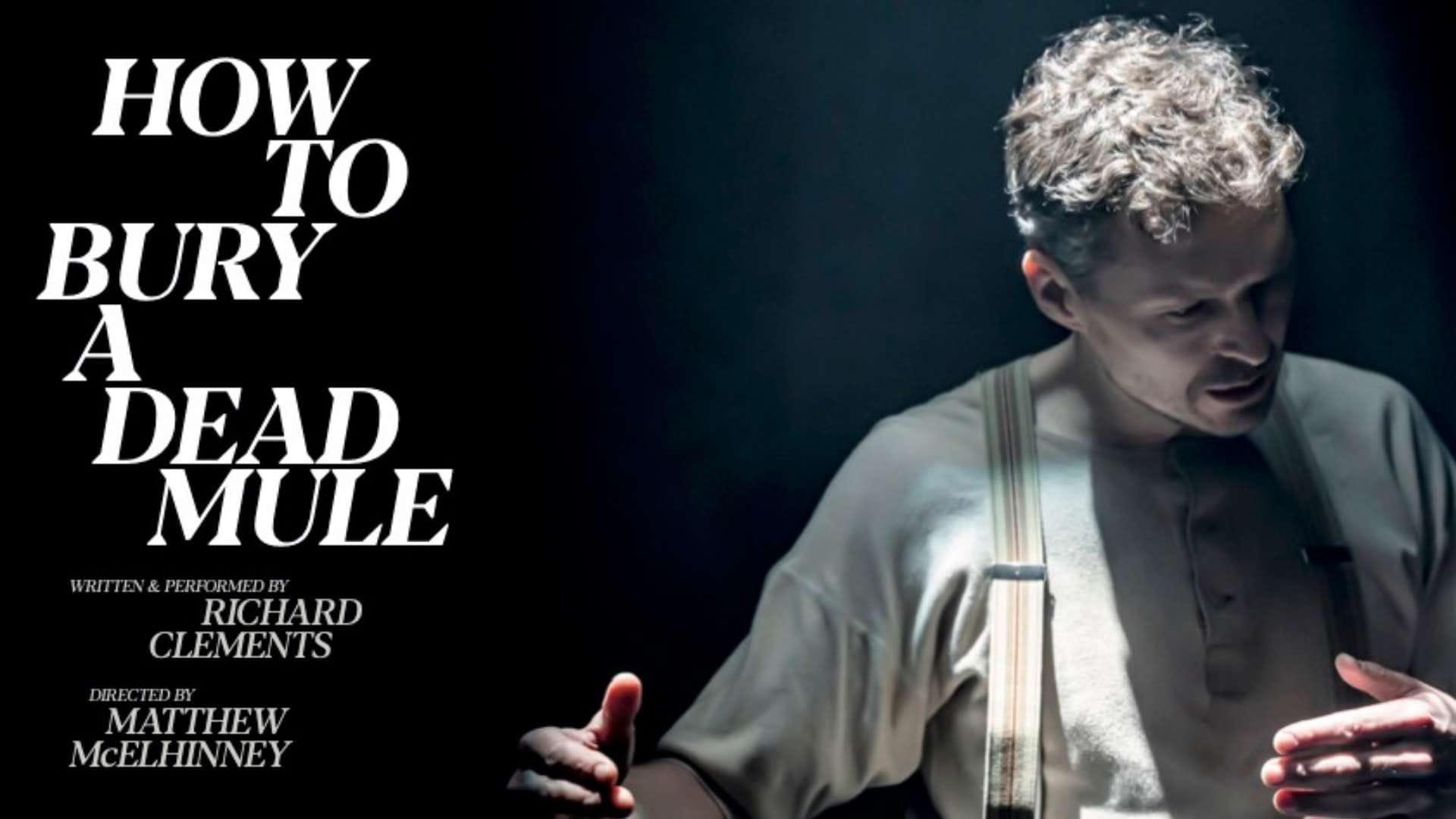 How To Bury a Dead Mule