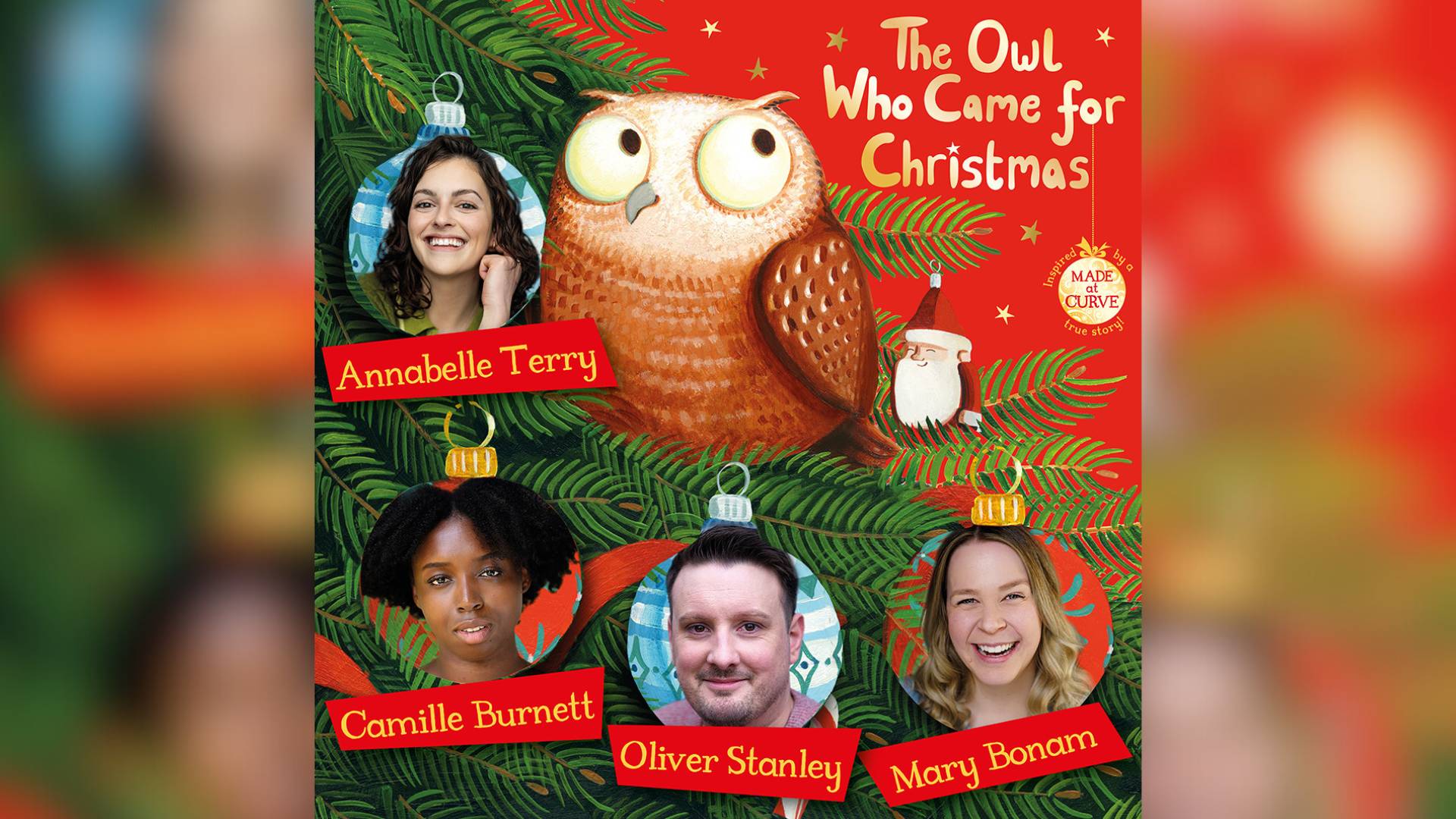 The Owl Who Came For Christmas Cast