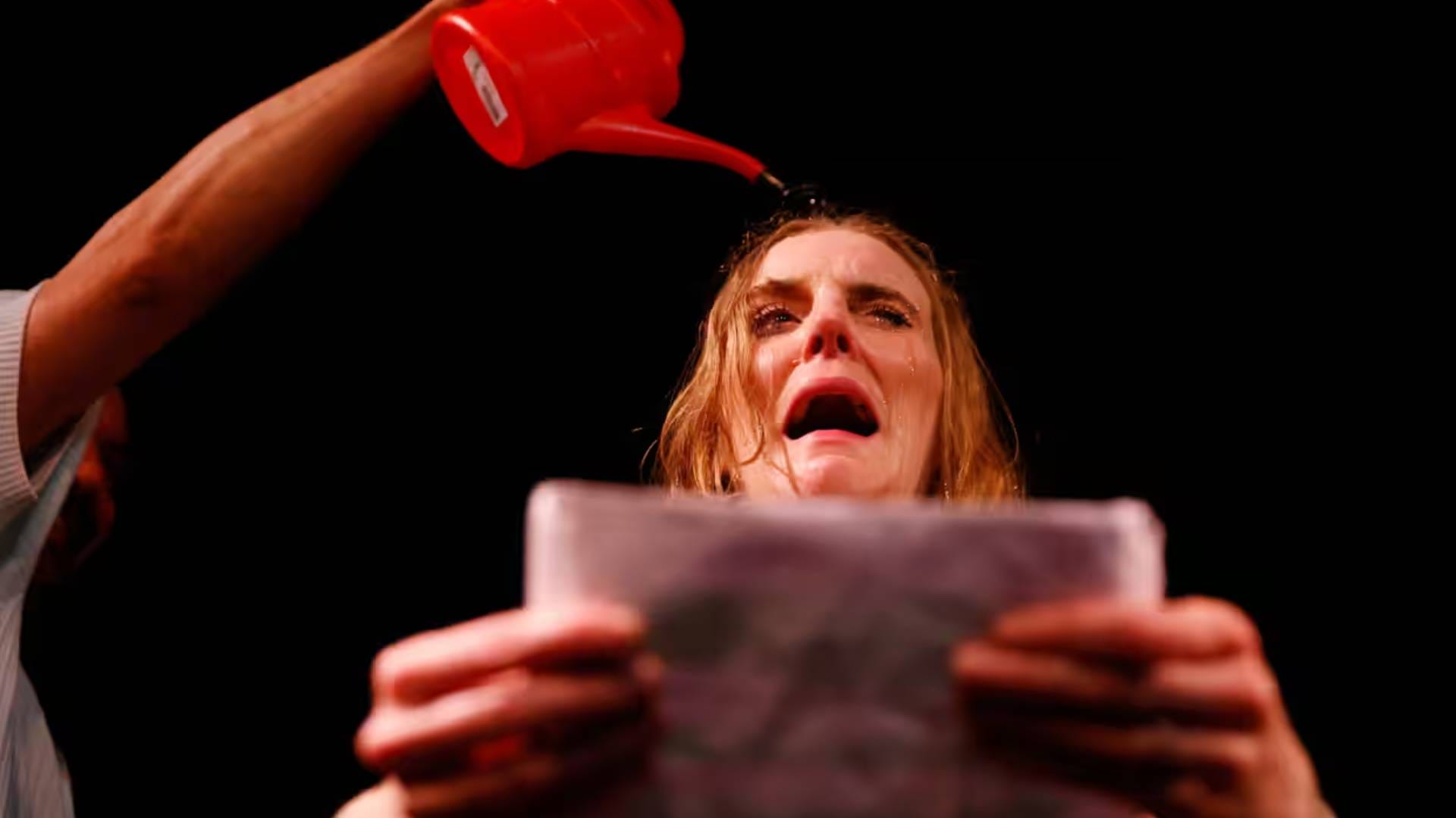 icon credit Murdo MacLeod