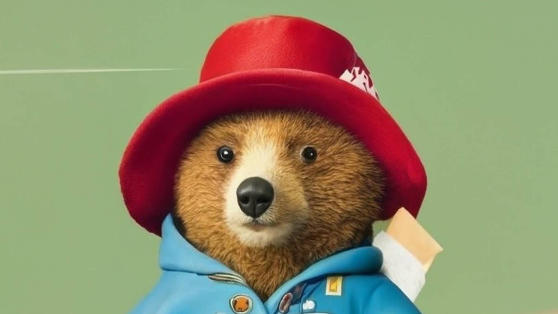 Paddington Bear Musical in Development