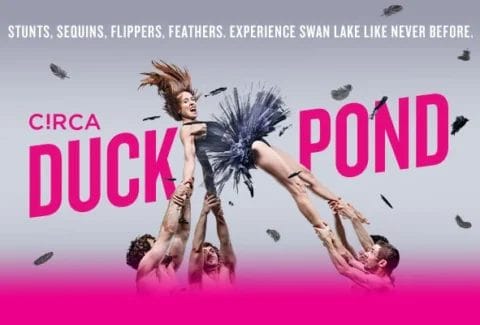 Circa’s Duck Pond Tickets at Royal Festival Hall, Southbank Centre