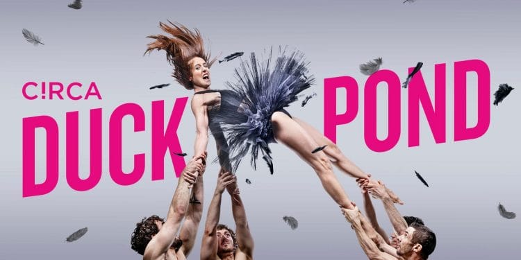 Duck Pond Comes to the South Bank Centre