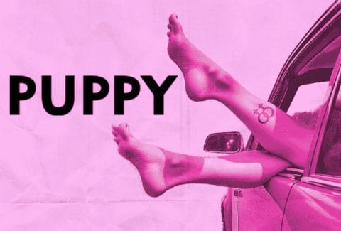 Puppy Tickets at King’s Head Theatre