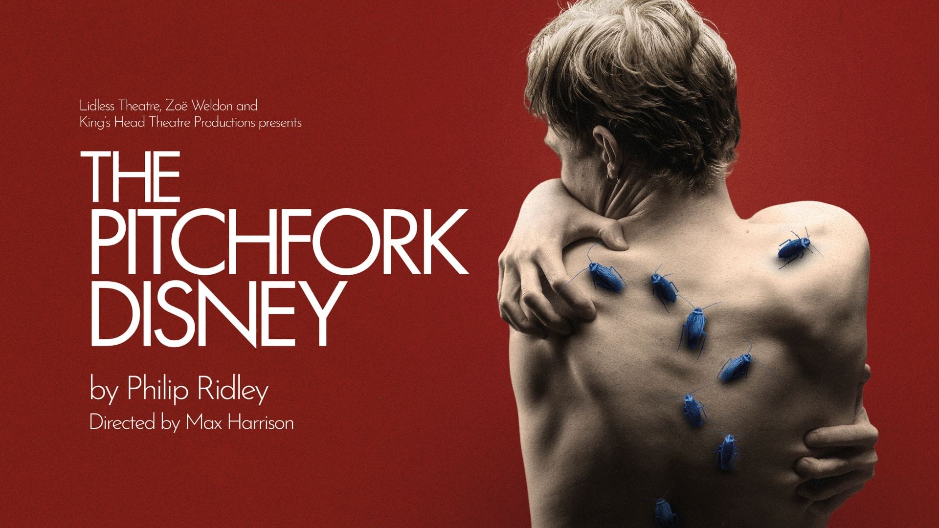 The Pitchfork Disney image supplied by publicist