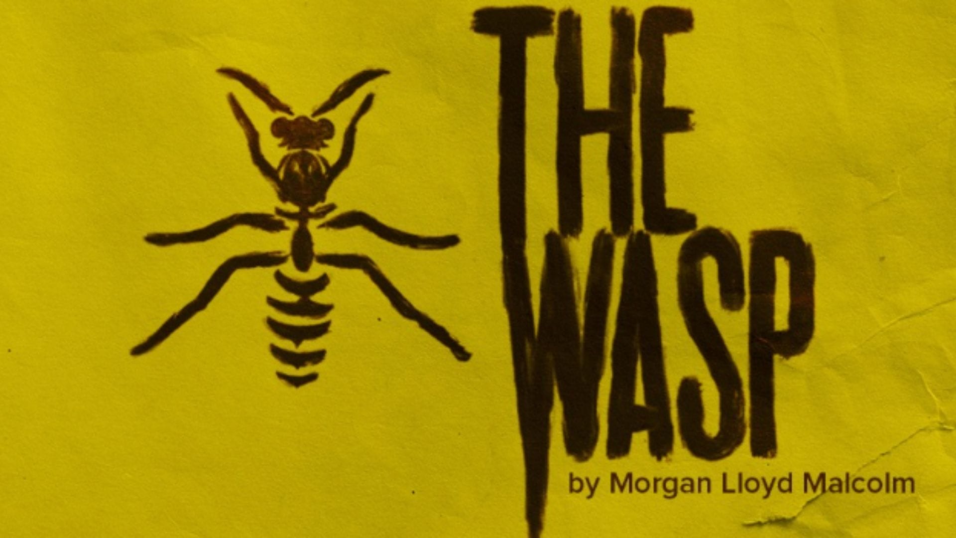 The Wasp Image supplied by publicist